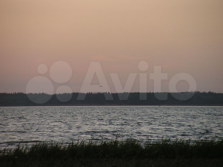 Участок 40 сот. (ИЖС)