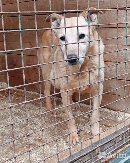 Жизнь почти закончена