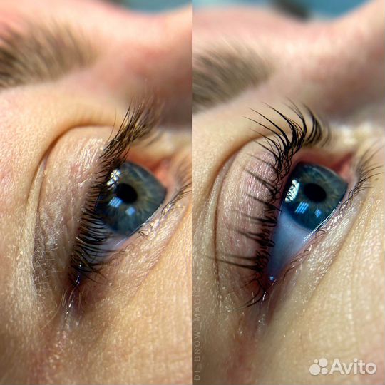 Брови Ресницы