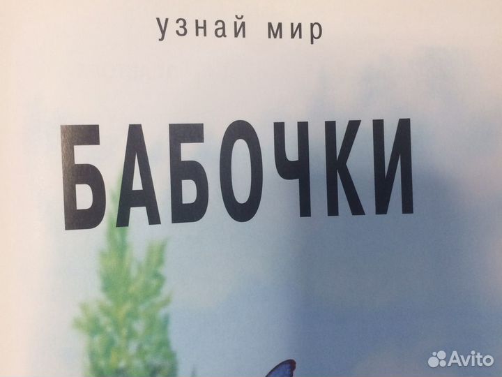Книга бабочки