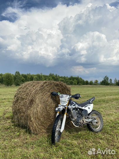 Regulmoto 250