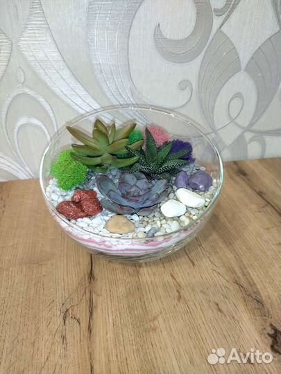 Флорариум суккуленты