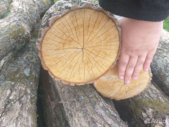 Столбы дубовые