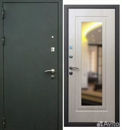 Входные двери 205 на 860