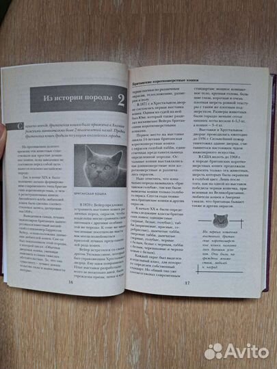 Книга британские кошки