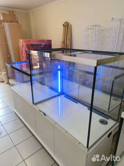 Аквариумный комплекс для торговли раками и рыбой