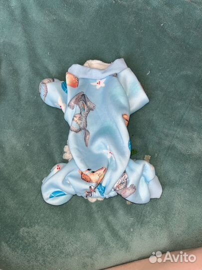 Одежда для маленьких собак