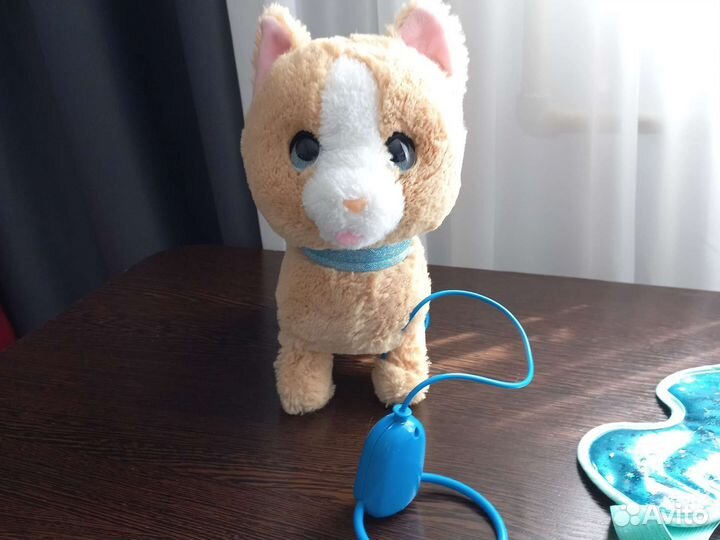 Кошечка на пульту