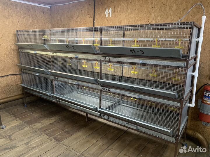 Брудера для птицы