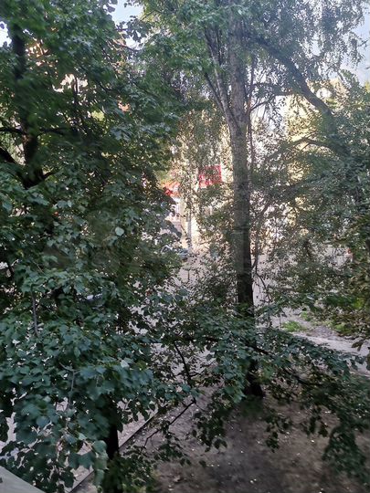 3-к. квартира, 69 м², 2/9 эт.