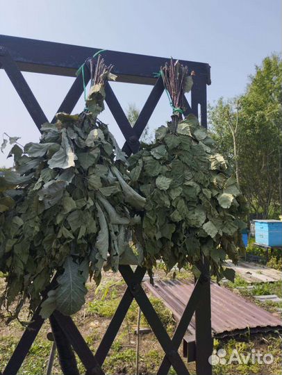 Веники для бани