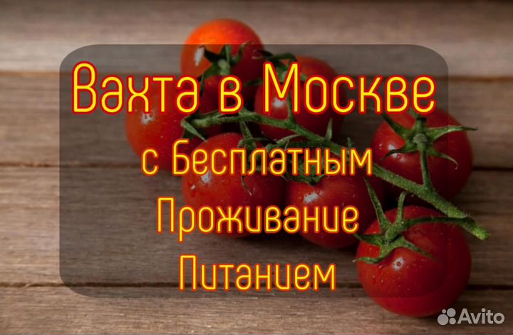 Вахта с проживанием в Москве - Сборщик помидоров