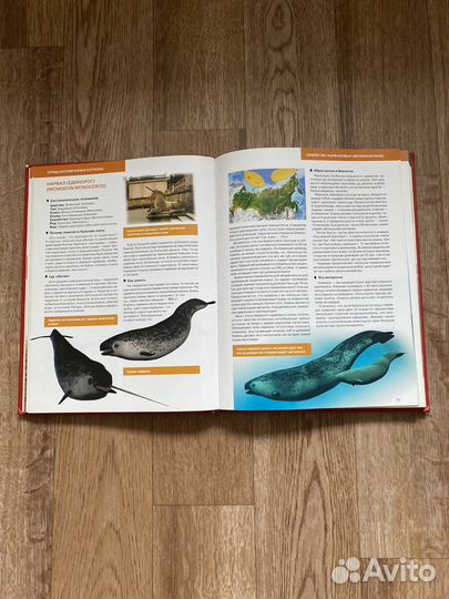 Красная книга России