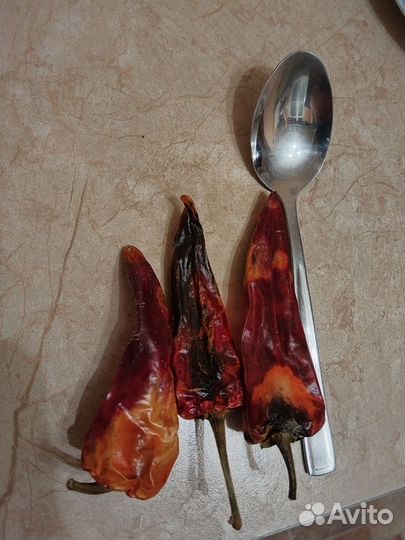 Рассада жгучего перца