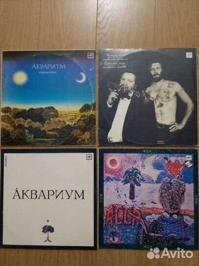 Рок. Автограф Б Г- 