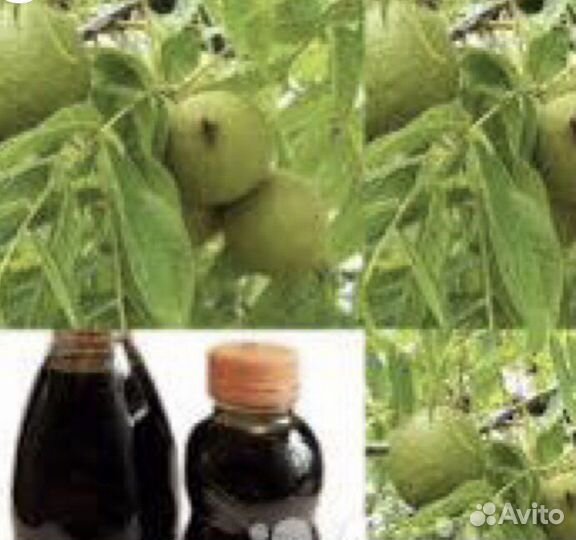 Водный экстракт Черного ореха