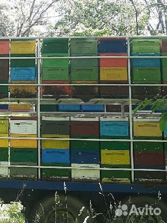 Мед липовый