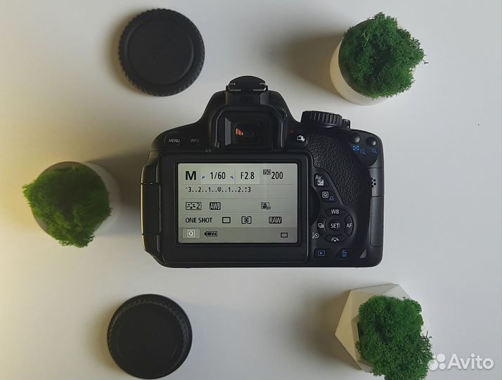 Canon 650d tamron 17-50mm f2.8