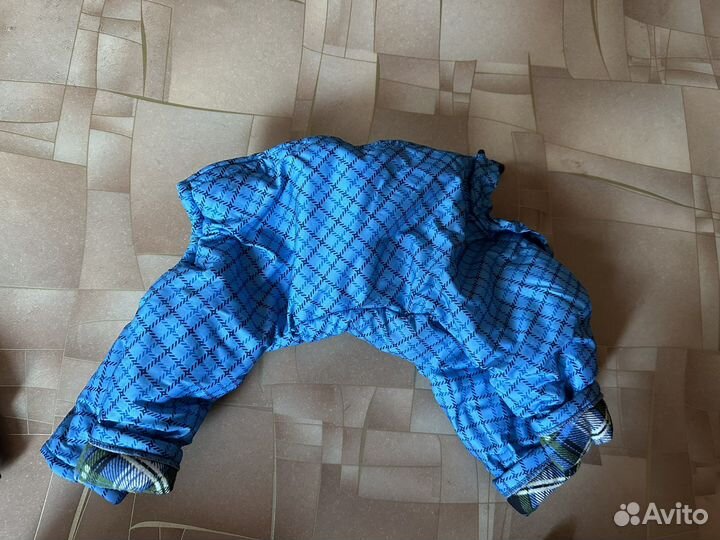 Одежда для собак