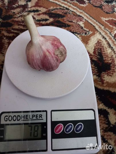 Чеснок