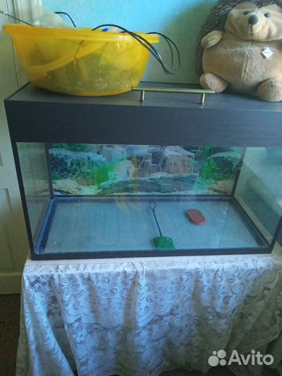 Аквариум