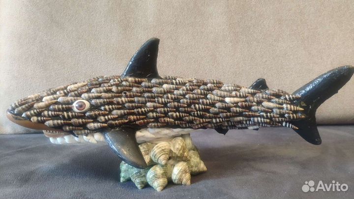 Акула из ракушек