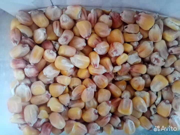 Корма для сельскохозяйственных животных Доставка