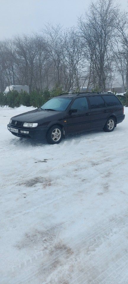 Volkswagen Passat: фото владельца