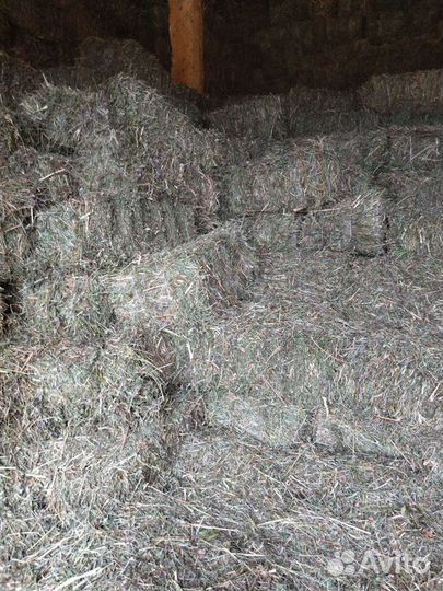 Сено, козлятник в тюках