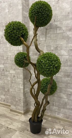 Самшит. Искусственное дерево. Интерьер