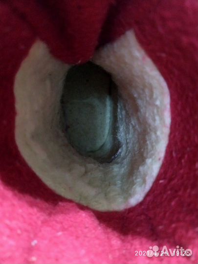 Сапожки демисезонные для девочки