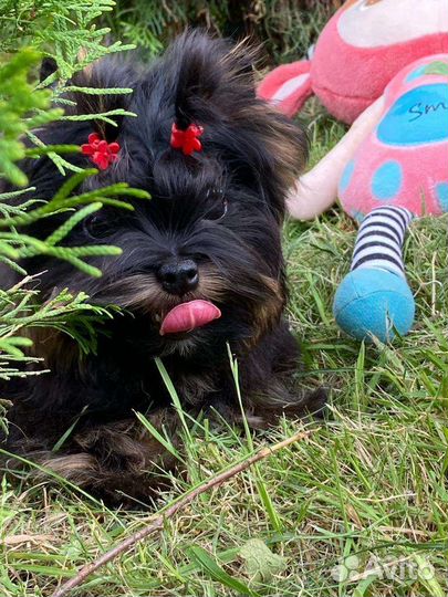 Мини мальчик