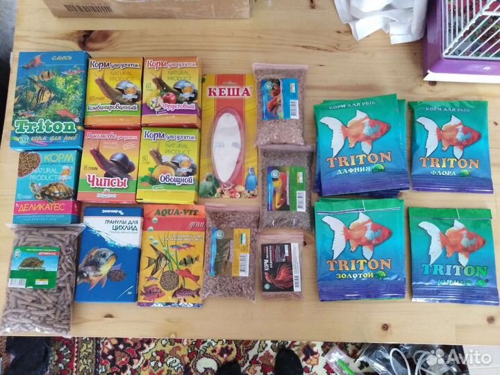 Аквариумистика