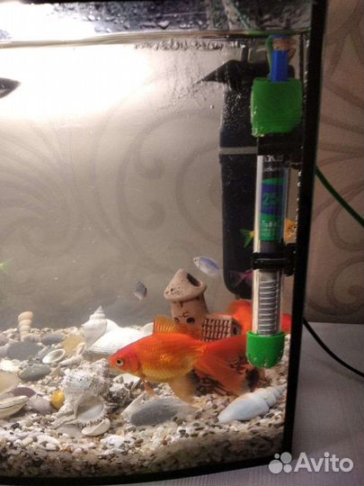 Аквариум на 45 л со всем необходимым