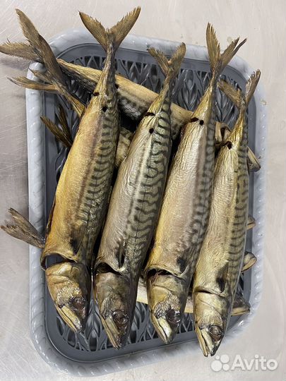 Скумбрия холодного копчения