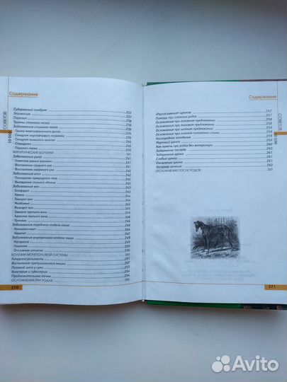 Книги ваша собака 10 000 советов