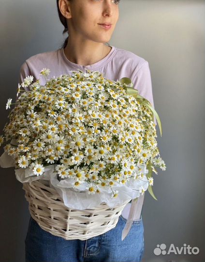Ромашки в корзине цветы букеты
