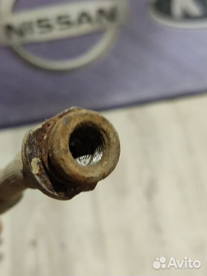 Трубка Шланг тормозной Nissan primera P12 Прав