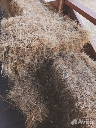 Сено в квадратных тюках