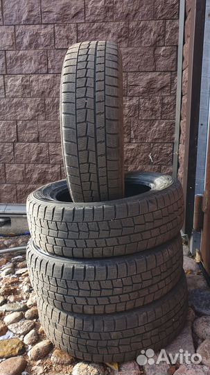 Dunlop Winter Maxx 175/65 R15