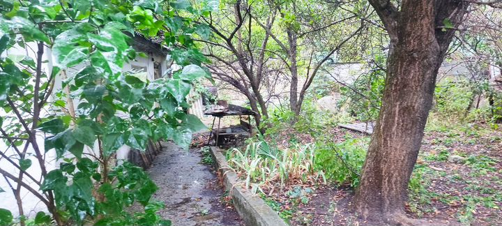 Дом 63 м² на участке 5,5 сот.