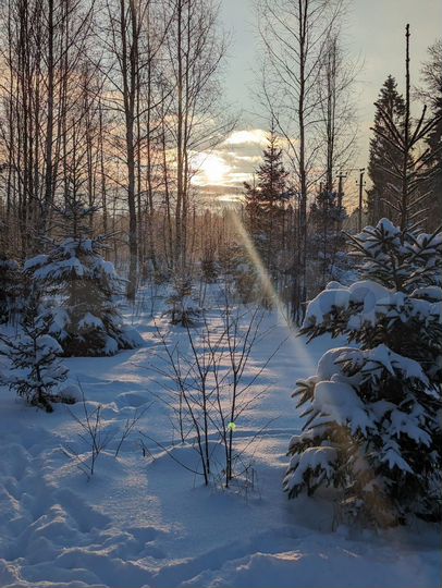 Дом 62 м² на участке 14 сот.