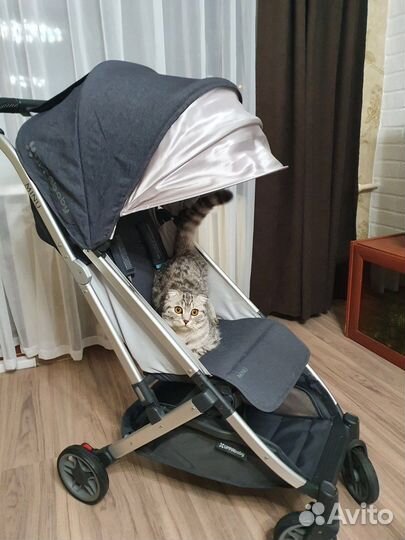 Коляска uppababy minu