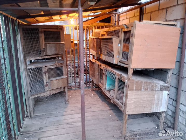 Клетки для кроликов