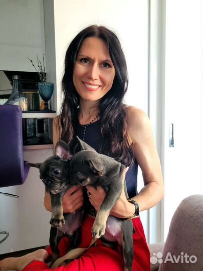 Репетитор французского языка