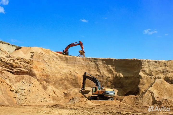 Строительный песок тараканом