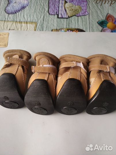 Обувь для собак