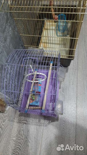 Клетка для птиц