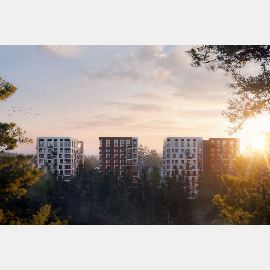 2-к. квартира, 49,8 м², 1/11 эт.