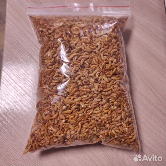 Гаммарус сушеный